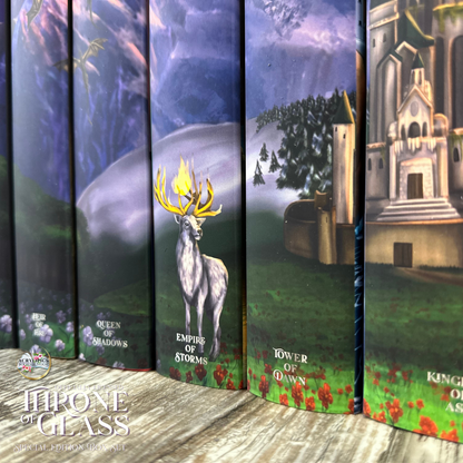 TOG X TERRASEN by Sarah J. Maas - Throne of Glass Special Edition Box Set