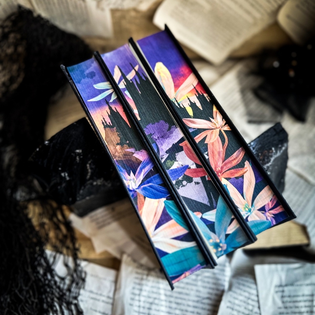 Defy the Night by Brigid Kemmerer - Special Edition